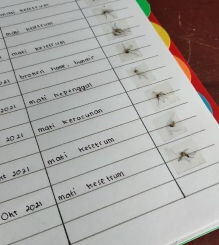 3 Potret Orang Gabut, Duh Gabut Gitu Amat Yak